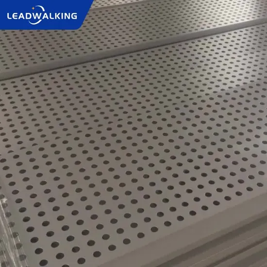 6 mm dickes Edelstahl-Lochblech, perforiertes Metallblech für Zäune